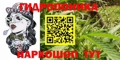 ECSTASY Рыбинск