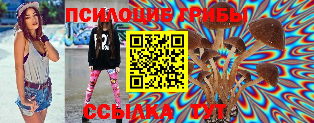 Псилоцибиновые грибы Psilocybine cubensis Рославль